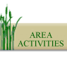 area Activity